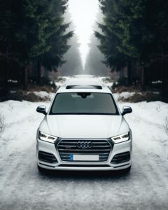 Clean Audi meets moody forest.